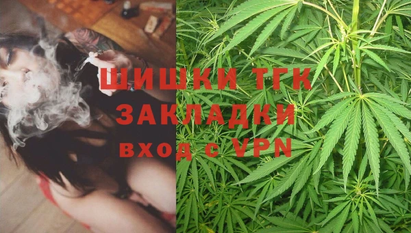 стафф Коряжма
